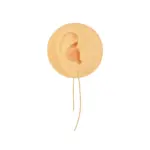 گوشواره بخیه‌ای نفرتیتی - Image 2