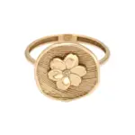 انگشتر سکه بهار - Image 2