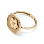 انگشتر سکه بهار - Image 4