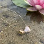 گردنبند دانه باروک مروارید آدامسی - Image 8